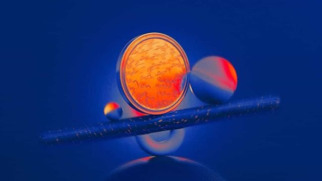 OpenSea CMO: Rolexes and Tickets Driving Next NFT Wave in 2026